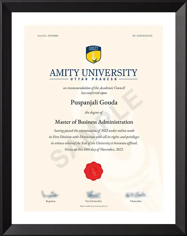 Amity Degree Certificate